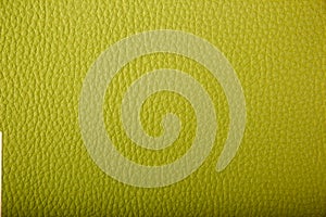 Green Leather Background. Green leather texture closeup background. Structured background design leather.