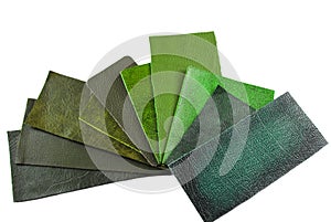 Green leather sampler