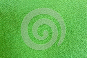 green leather sofa texture