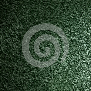 Green leather texture