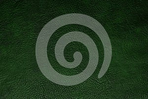 green leather texture
