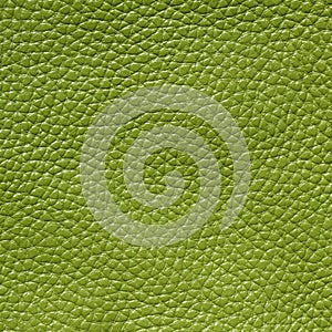 Green leather texture