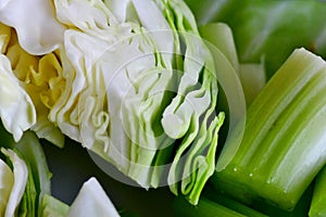 Green Leav vegetables and cabbage for salad