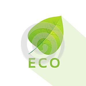 Green leave eco flat icon vector