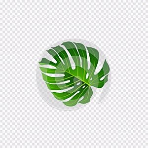 Green Leave In The Hand Isolated On Transparant Background Vector