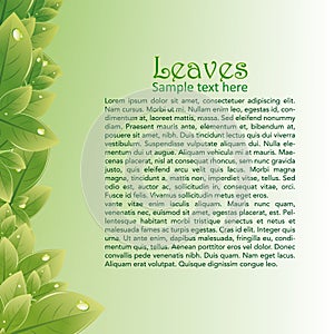 Green leaves abstract background for brochures