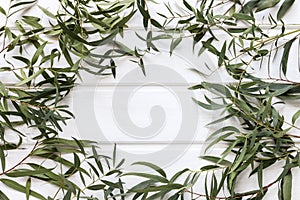 Green leaves of agonis flexuosa on white wooden table