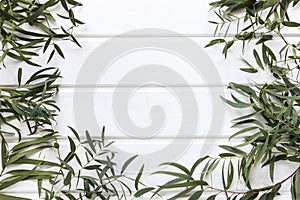 Green leaves of agonis flexuosa on white wooden table