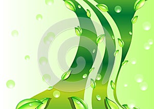 Green leaves background