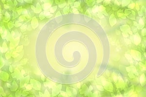 Green leaves background. Abstract fresh green leaves border on delicate green background. Beautiful spring and sunny summer