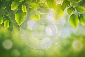 Green leaves background nature abstract for spring and summer season wallpaper