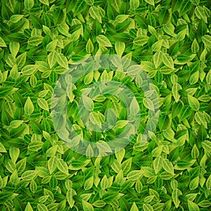 Green leaves background, vector