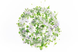 Green leaves and blue flowers in a circle on a white background