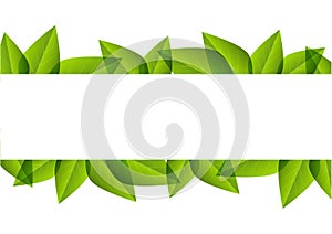 Green leaves border