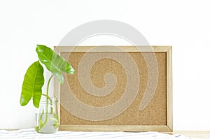 Green leaves of Burle Marx Philodendron in glass jar of water and blank cork board backgrond