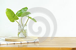 Hojas verdes de fuerte en vaso chirrido de Agua 