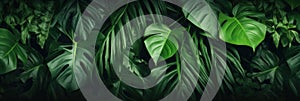 Green leaves, Dark green tropical leaves ( monstera, palm, coconut leaf, fern, palm leaf,bananaleaf) background. Nature