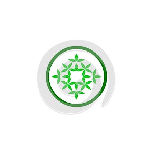 Green Leaves Eco Logo circle design