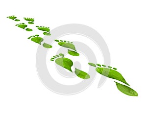 Green leaves foot steps isolated over white background