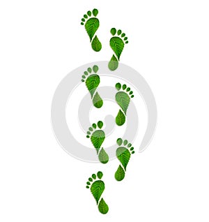 Green leaves footprint