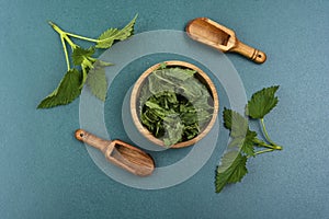 Green leaves fresh and dry nettle