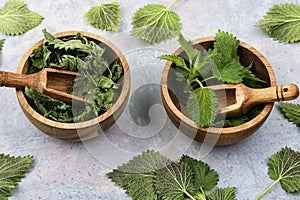 Green leaves fresh and dry nettle