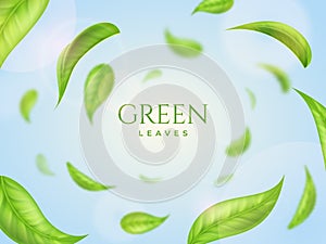 Green leaves, fresh realistic leaf round frame. Tea flying in air, eco clean backdrop, 3d environment, nature spring