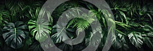 Green leaves, Group background of dark green tropical leaves, Panorama background. concept of nature. Generative Ai