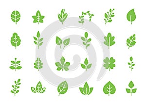 Green leaves icon. Eco leaf, organic growth and sprout vector symbols set