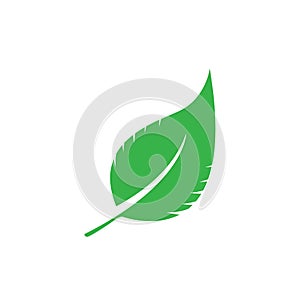 A green leaves icon, symble, logo, banner design. green leaf concept of spring season. vector and illustration