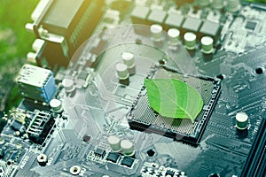 Green leaves inside a computer circuit board green technology and environmental technology Nature combined with digital technology