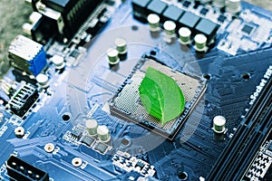 Green leaves inside a computer circuit board green technology and environmental technology Nature combined with digital technology