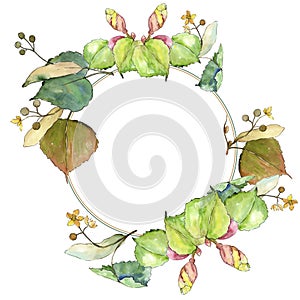 Green leaves linden. Leaf plant botanical garden floral foliage. Frame border ornament square.