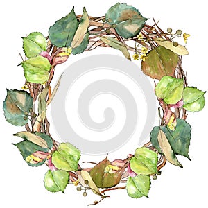 Green leaves linden. Leaf plant botanical garden floral foliage. Frame border ornament square.