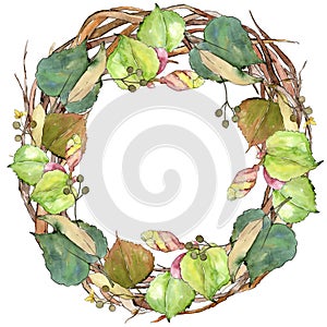 Green leaves linden. Leaf plant botanical garden floral foliage. Frame border ornament square.