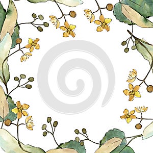 Green leaves linden. Leaf plant botanical garden floral foliage. Frame border ornament square.