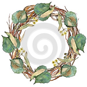 Green leaves linden. Leaf plant botanical garden floral foliage. Frame border ornament square.