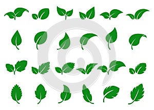 Green leaves logo. Leaf icon set. Herbal eco abstract label. Bio, vegan or pharmacy concept. Fresh mint isolated sign