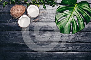 Green leaves of Monstera plant growing in wild, the tropical forest plant on black background. The coconut is the white flesh of t