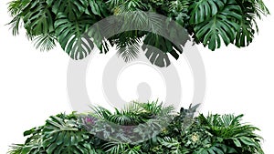 Green leaves nature frame backdrop of tropical plants bush Monstera, palm, philodendrons, fern and cabbage lush foliage floral