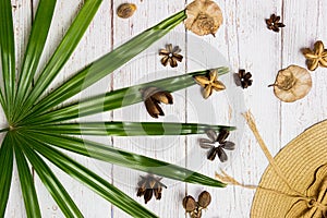 Green leaves with nature seeds and hat over the wooden background.