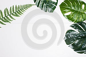 Green leaves over the white wooden background