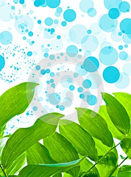 Green Leaves on Oxygen Background