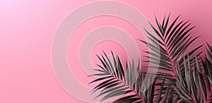 Green leaves of palm tree on pastel pink background.