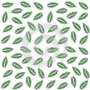 Green leaves of a palm tree, seamless pattern. Watercolor illustration.