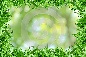 Green leaves pattern for summer or spring season concept,frame of grass leaf with bokeh textured background