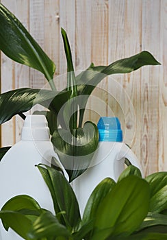 Green leaves of a plant against the background of plastic bottles of detergent. The concept of bioorganic detergent product