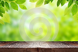 Green leaves of plant over defocused nature background. Summer, ecology, environment natural background