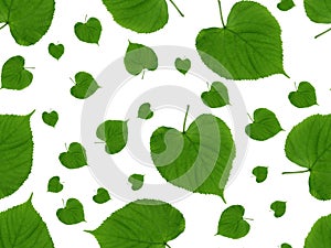 Green leaves seamless pattern.