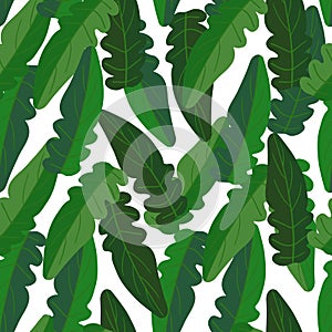 Green leaves seamless pattern on white background